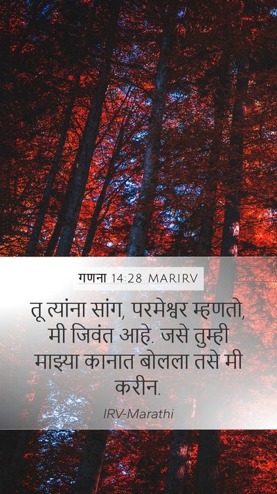 गणना 14:28 MARIRV Bible Verse Image