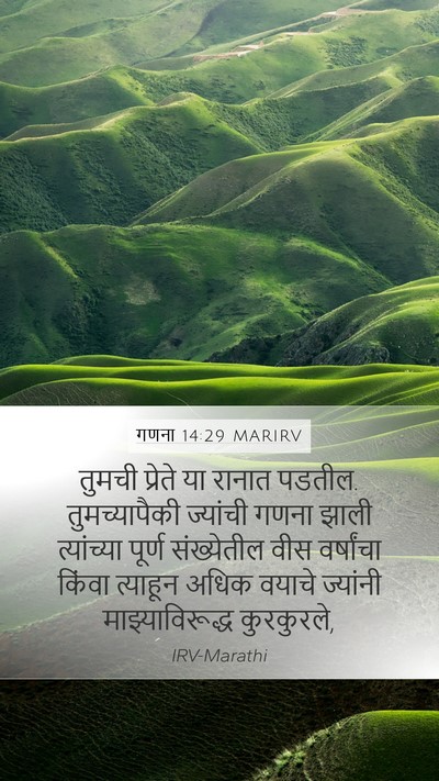 गणना 14:29 MARIRV Bible Verse Image