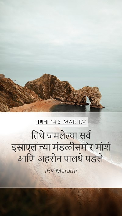 गणना 14:5 MARIRV Bible Verse Image
