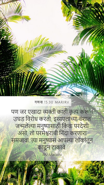 गणना 15:30 MARIRV Bible Verse Image