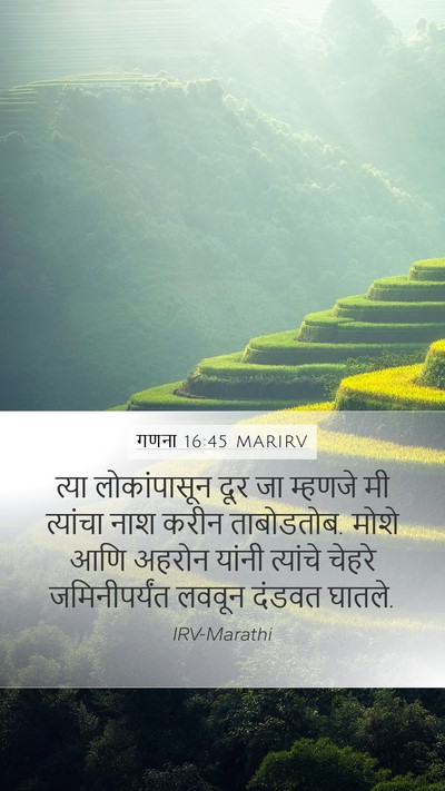 गणना 16:45 MARIRV Bible Verse Image