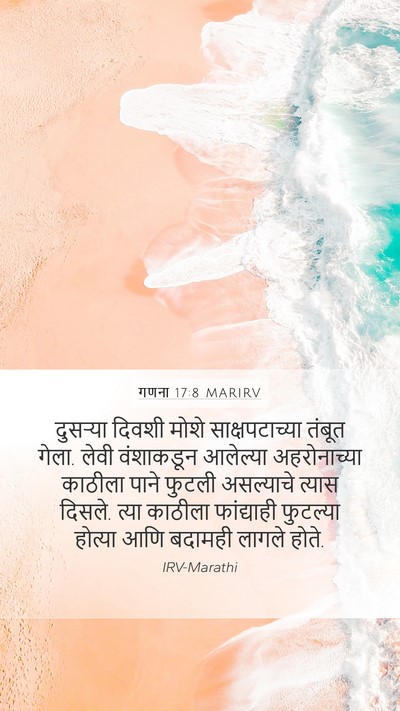 गणना 17:8 MARIRV Bible Verse Image