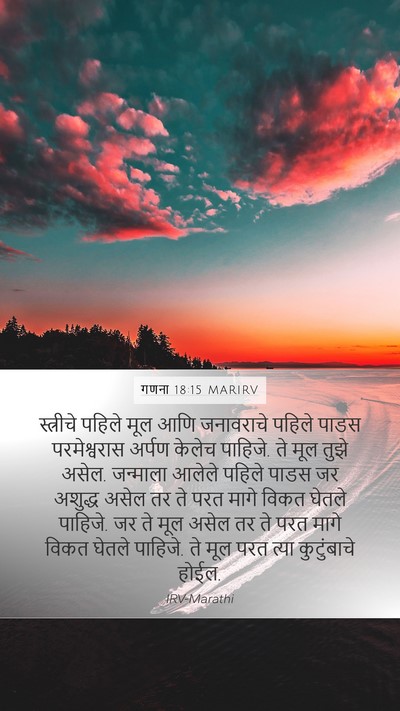 गणना 18:15 MARIRV Bible Verse Image