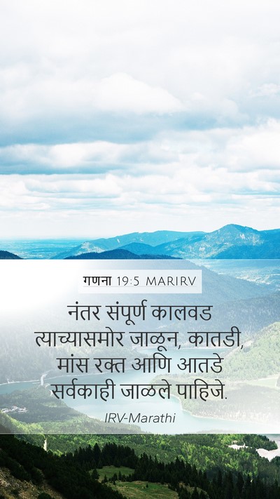गणना 19:5 MARIRV Mobile Phone Wallpaper - नंतर संपूर्ण - Mobile Bible Verse Wallpaper