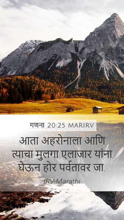 गणना 20:25 MARIRV Bible Verse Image