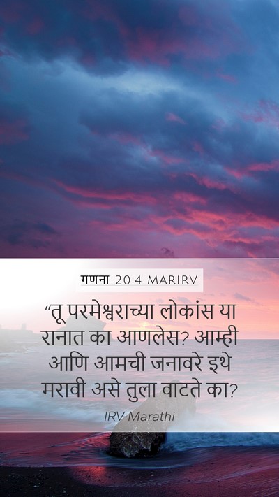 गणना 20:4 MARIRV Bible Verse Image