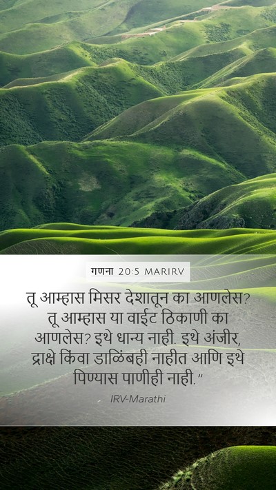 गणना 20:5 MARIRV Mobile Phone Wallpaper - तू आम्हास मिसर - Mobile Bible Verse Wallpaper