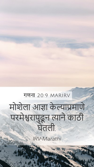 गणना 20:9 MARIRV Bible Verse Image