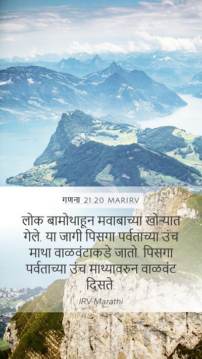 गणना 21:20 MARIRV Bible Verse Image