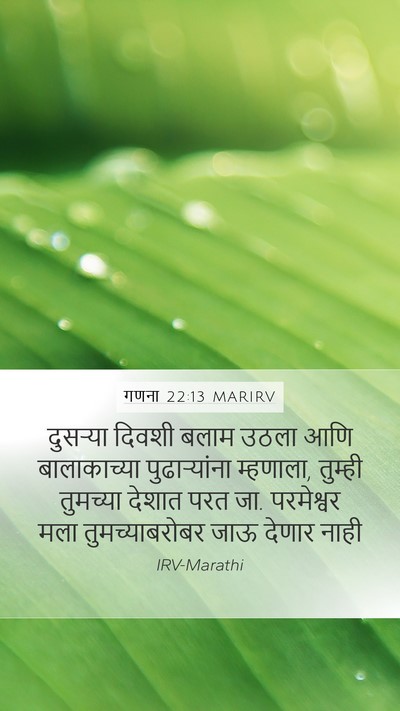 गणना 22:13 MARIRV Bible Verse Image