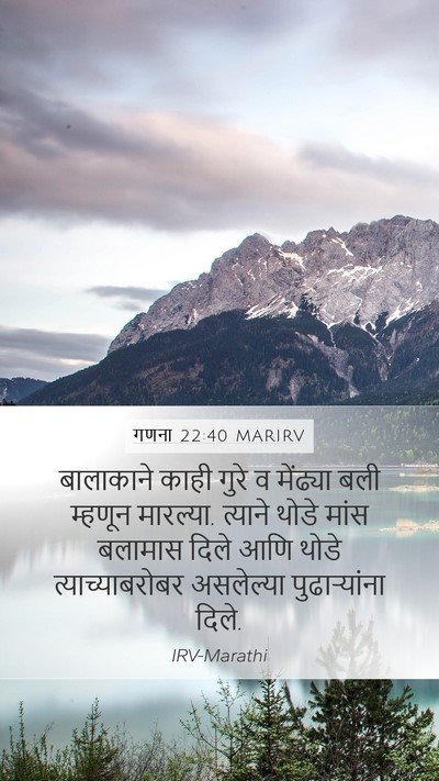गणना 22:40 MARIRV Mobile Phone Wallpaper - बालाकाने काही - Mobile Bible Verse Wallpaper