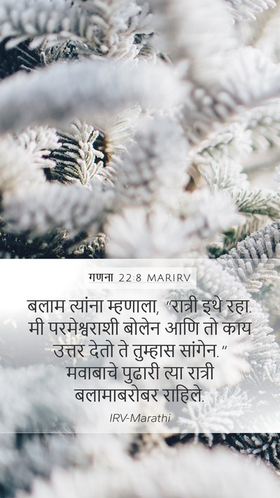 गणना 22:8 MARIRV Mobile Phone Wallpaper - बलाम त्यांना - Mobile Bible Verse Wallpaper
