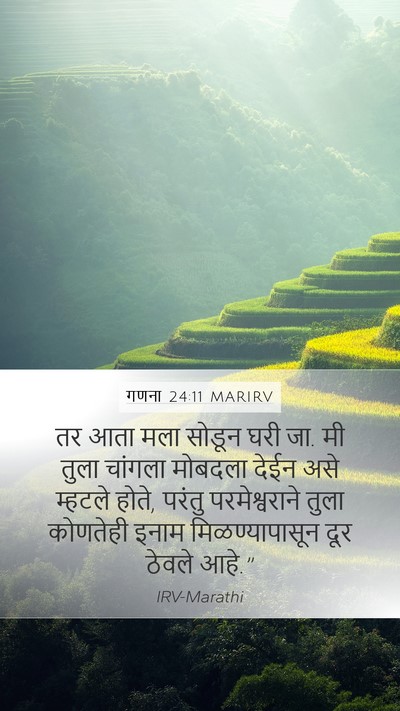 गणना 24:11 MARIRV Mobile Phone Wallpaper - तर आता मला सोडून - Mobile Bible Verse Wallpaper