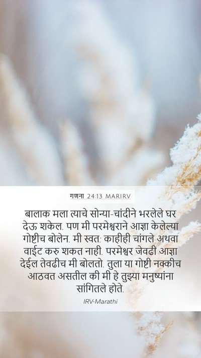 गणना 24:13 MARIRV Bible Verse Image