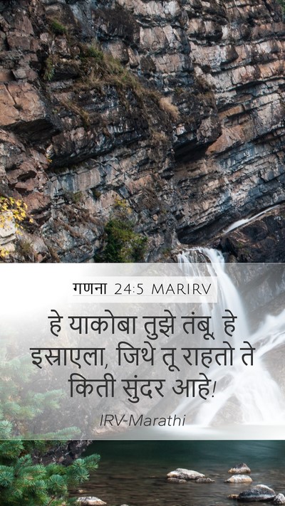 गणना 24:5 MARIRV Bible Verse Image