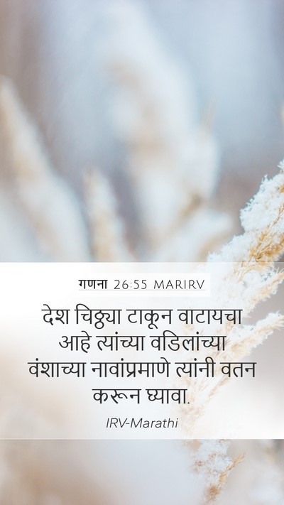 गणना 26:55 MARIRV Bible Verse Image