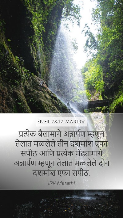गणना 28:12 MARIRV Bible Verse Image