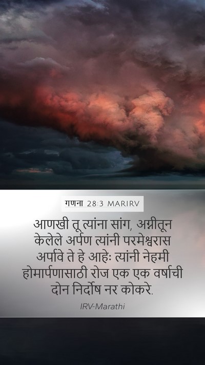 गणना 28:3 MARIRV Bible Verse Image