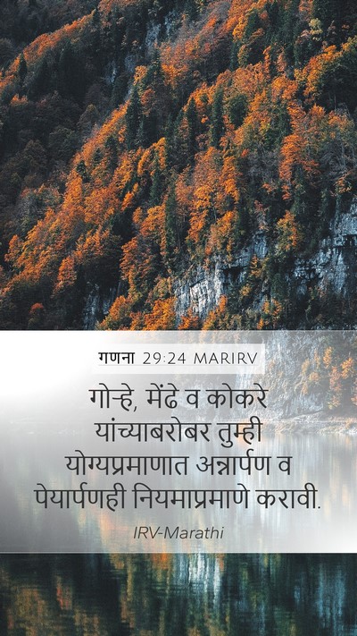 गणना 29:24 MARIRV Mobile Phone Wallpaper - गोऱ्हे, मेंढे व - Mobile Bible Verse Wallpaper