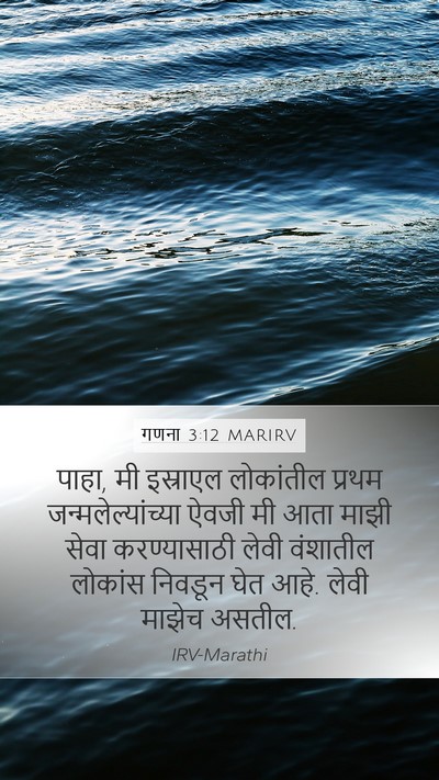 गणना 3:12 MARIRV Bible Verse Image