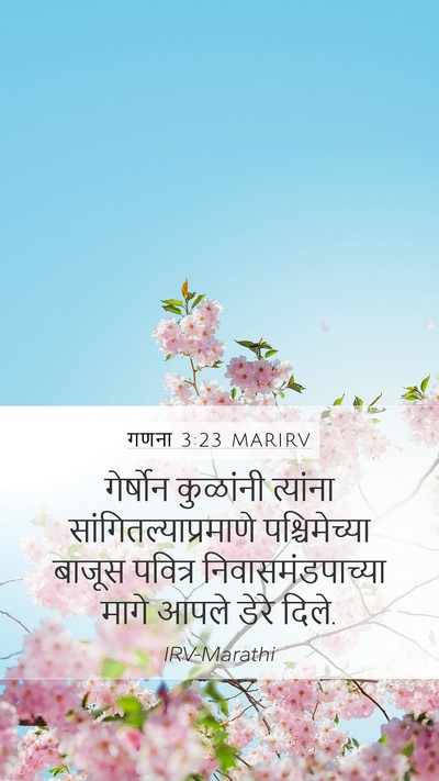 गणना 3:23 MARIRV Bible Verse Image