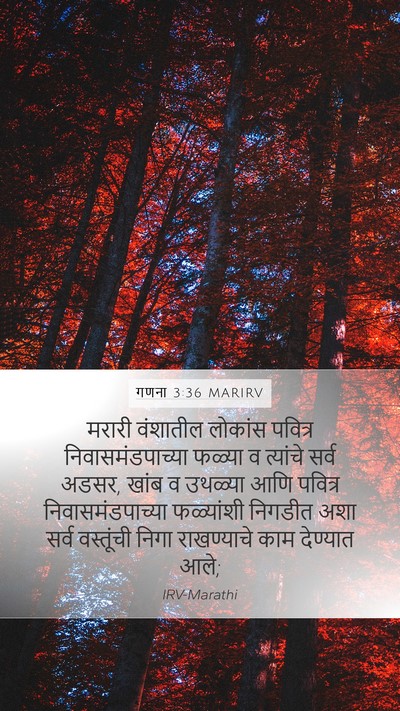 गणना 3:36 MARIRV Bible Verse Image
