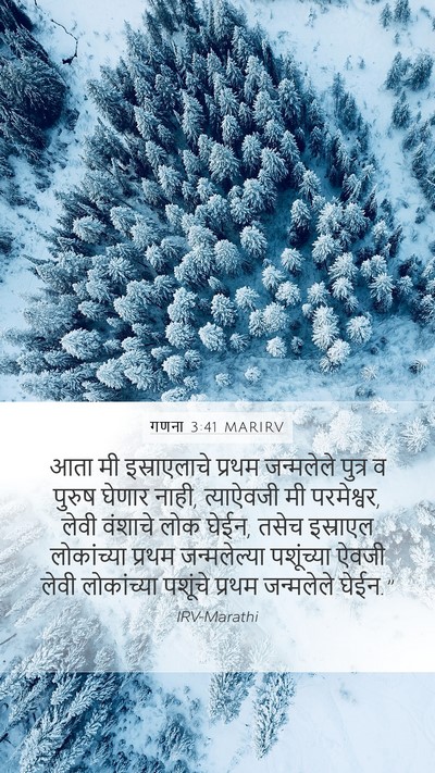 गणना 3:41 MARIRV Mobile Phone Wallpaper - आता मी इस्राएलाचे - Mobile Bible Verse Wallpaper