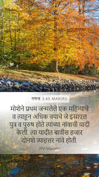 गणना 3:43 MARIRV Bible Verse Image
