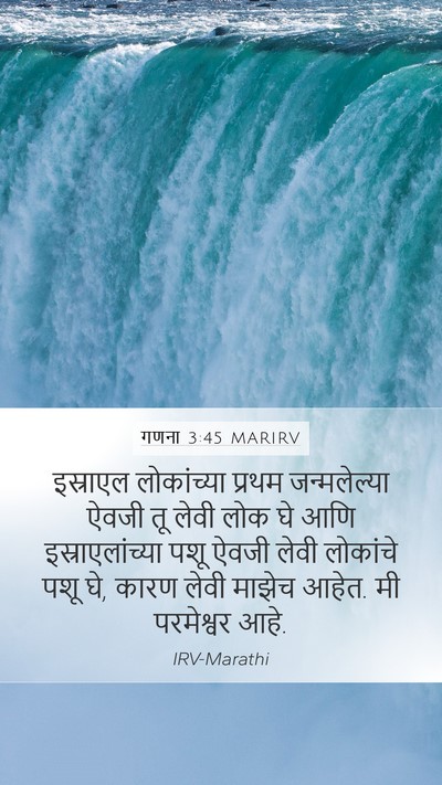 गणना 3:45 MARIRV Bible Verse Image