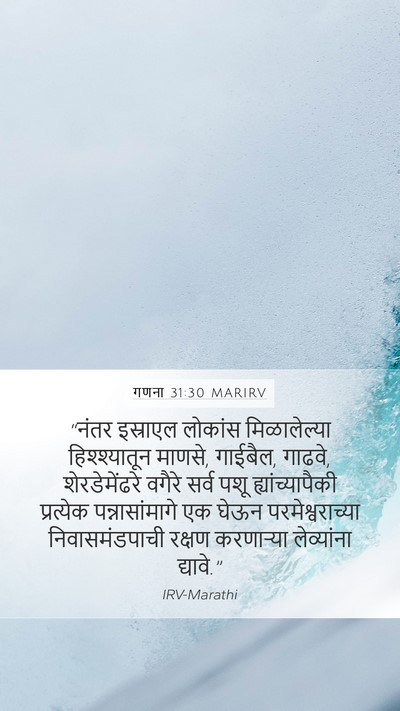 गणना 31:30 MARIRV Bible Verse Image