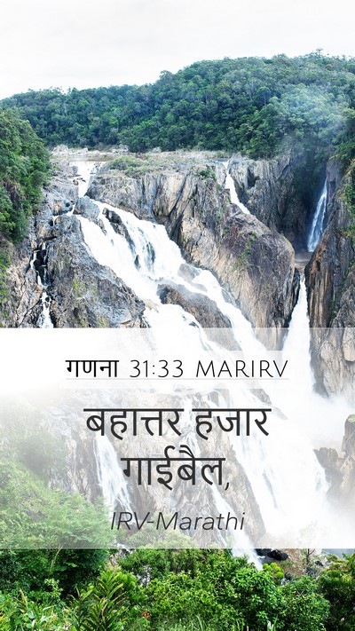 गणना 31:33 MARIRV Mobile Phone Wallpaper - बहात्तर हजार - Mobile Bible Verse Wallpaper
