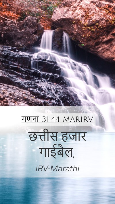 गणना 31:44 MARIRV Mobile Phone Wallpaper - छत्तीस हजार - Mobile Bible Verse Wallpaper
