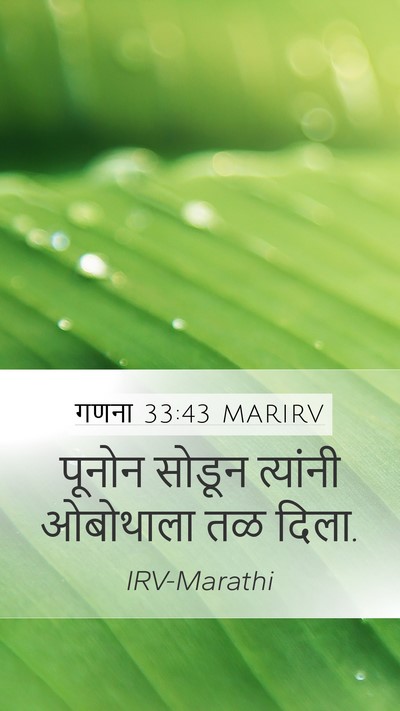 गणना 33:43 MARIRV Bible Verse Image