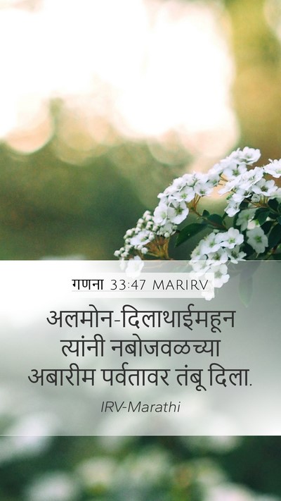 गणना 33:47 MARIRV Bible Verse Image