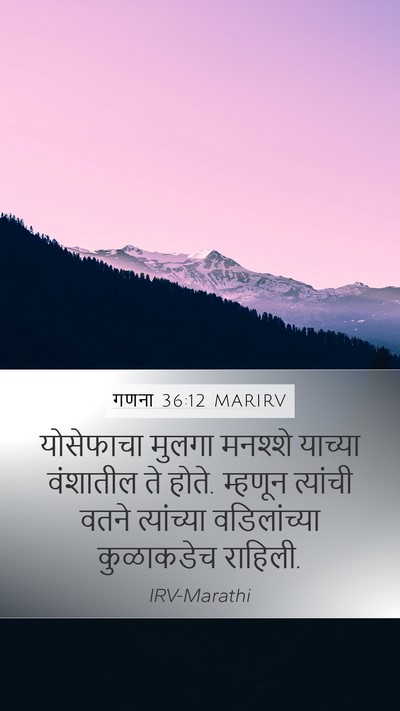 गणना 36:12 MARIRV Bible Verse Image