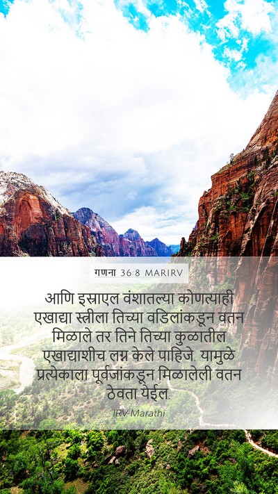 गणना 36:8 MARIRV Bible Verse Image