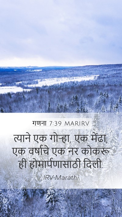 गणना 7:39 MARIRV Mobile Phone Wallpaper - त्याने एक गोऱ्हा, - Mobile Bible Verse Wallpaper