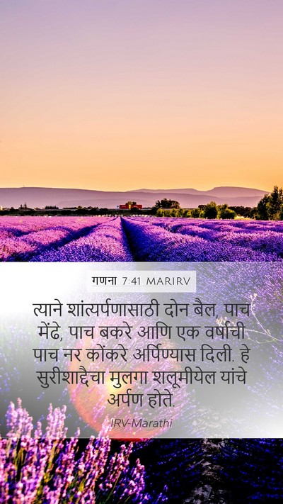 गणना 7:41 MARIRV Bible Verse Image