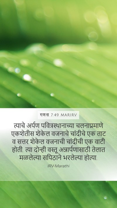 गणना 7:49 MARIRV Mobile Phone Wallpaper - त्याचे अर्पण - Mobile Bible Verse Wallpaper