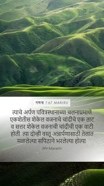 गणना 7:67 MARIRV Mobile Phone Wallpaper - त्याचे अर्पण - Mobile Bible Verse Wallpaper