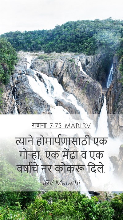 गणना 7:75 MARIRV Mobile Phone Wallpaper - त्याने - Mobile Bible Verse Wallpaper