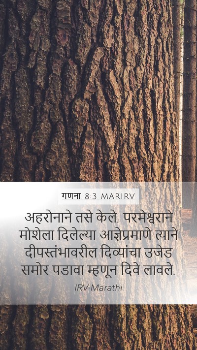 गणना 8:3 MARIRV Mobile Phone Wallpaper - अहरोनाने तसे केले. - Mobile Bible Verse Wallpaper