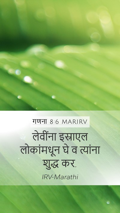 गणना 8:6 MARIRV Bible Verse Image