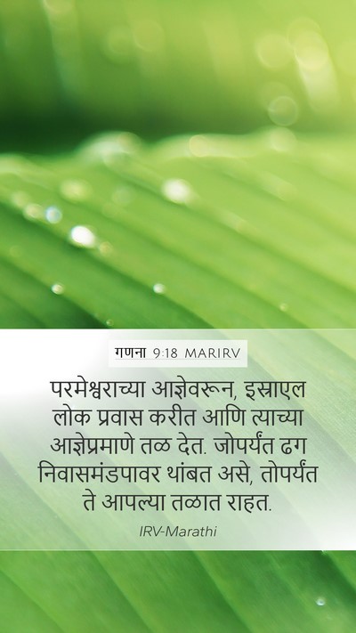 गणना 9:18 MARIRV Bible Verse Image