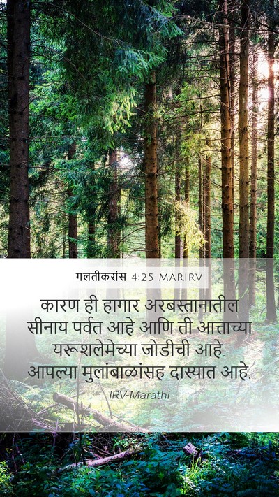 गलतीकरांस 4:25 MARIRV Bible Verse Image