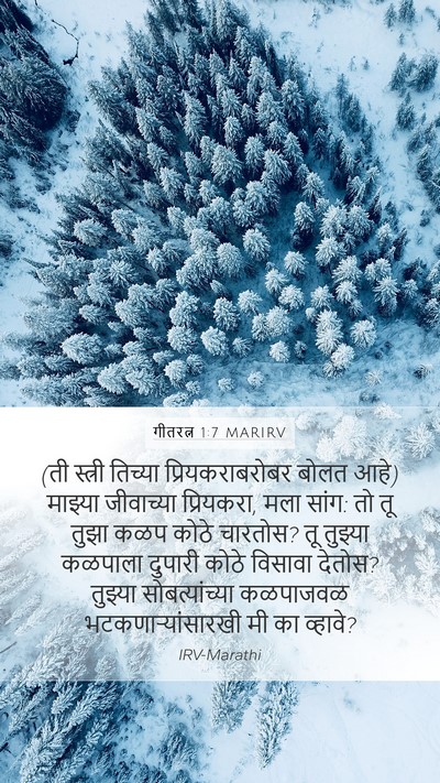 गीतरत्न 1:7 MARIRV Bible Verse Image
