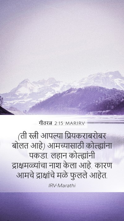गीतरत्न 2:15 MARIRV Mobile Phone Wallpaper - (ती स्त्री आपल्या - Mobile Bible Verse Wallpaper