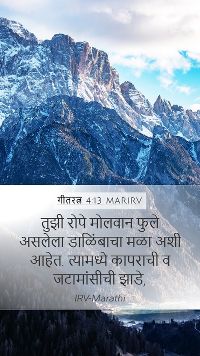 गीतरत्न 4:13 MARIRV Bible Verse Image