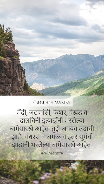 गीतरत्न 4:14 MARIRV Bible Verse Image