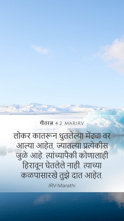गीतरत्न 4:2 MARIRV Mobile Phone Wallpaper - लोकर कातरून - Mobile Bible Verse Wallpaper